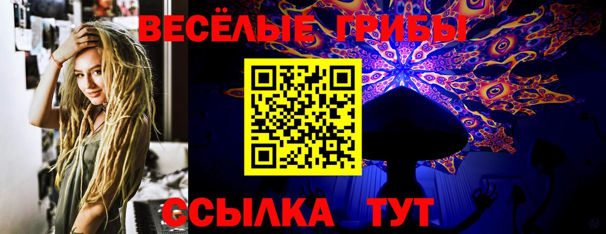 Избербаш  Псилоцибиновые грибы ЛСД  где найти наркотики  Псилоцибиновые грибы Psilocybe  Вход с VPN 