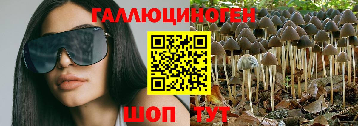 Псилоцибиновые грибы MAGIC MUSHROOMS Избербаш